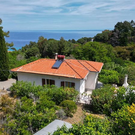Casa Panoramica Bouganville SantʼAndrea Екстериор снимка