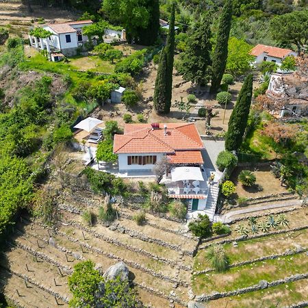 Casa Panoramica Bouganville SantʼAndrea Екстериор снимка