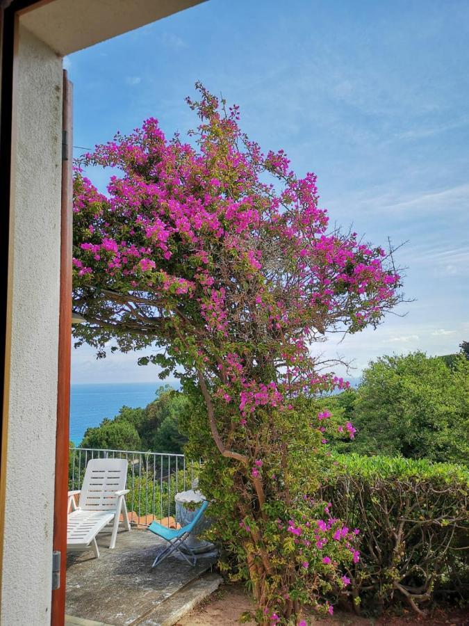 Casa Panoramica Bouganville SantʼAndrea Екстериор снимка