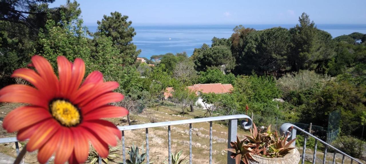Casa Panoramica Bouganville SantʼAndrea Екстериор снимка