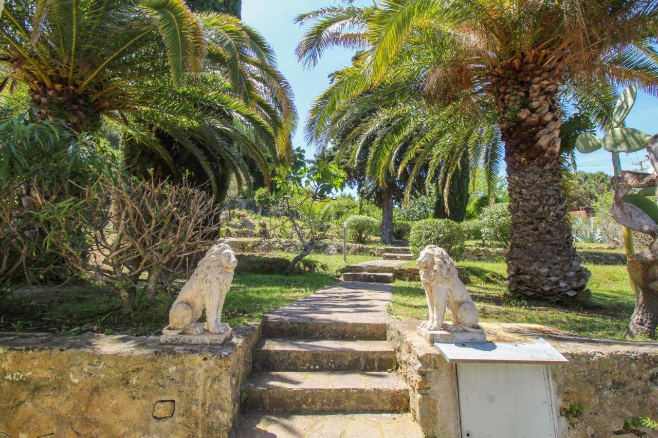 Casa Panoramica Bouganville SantʼAndrea Екстериор снимка