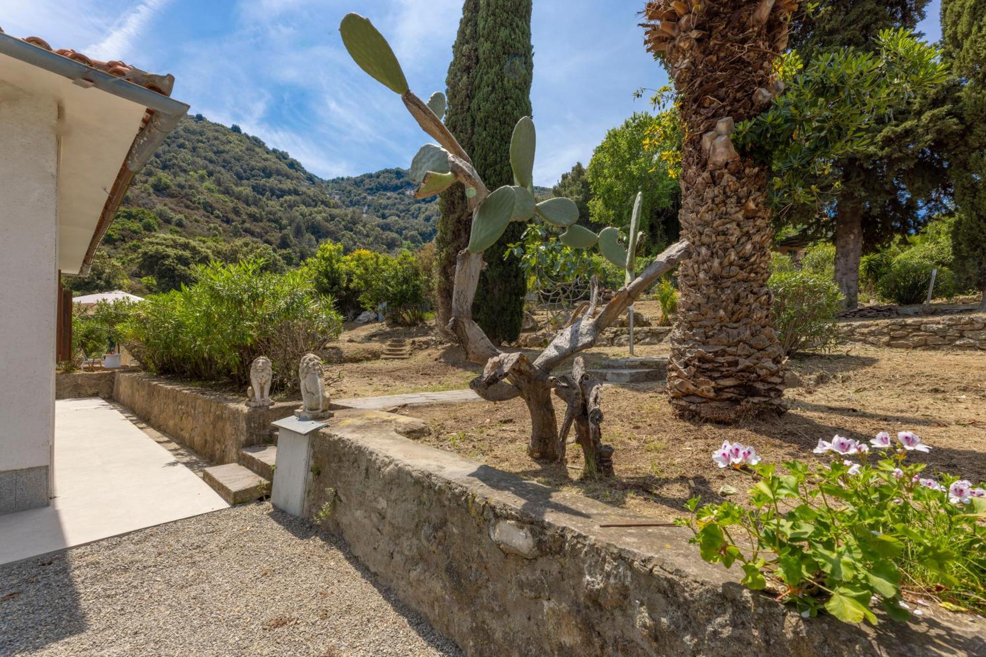 Casa Panoramica Bouganville SantʼAndrea Екстериор снимка