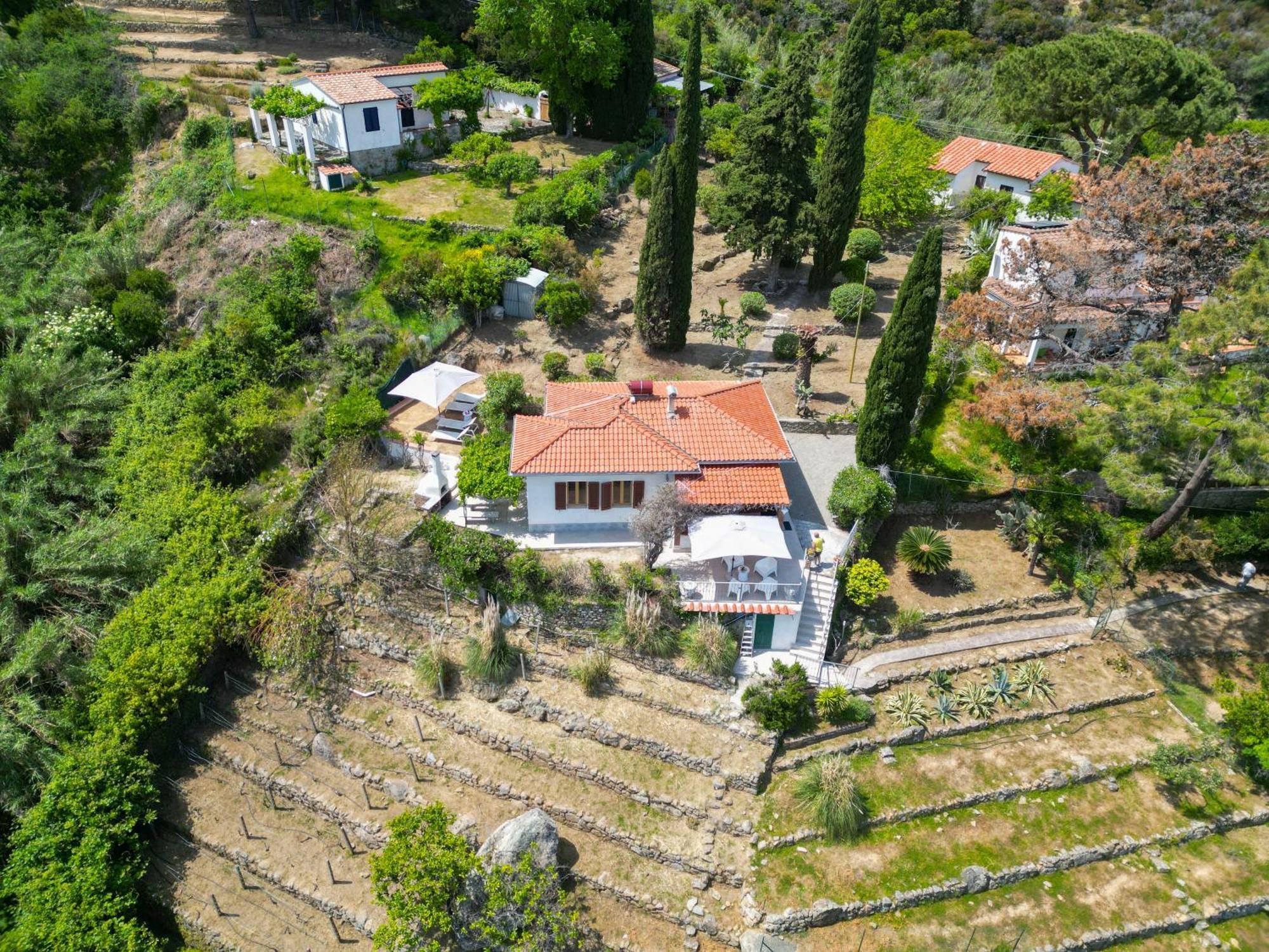 Casa Panoramica Bouganville SantʼAndrea Екстериор снимка